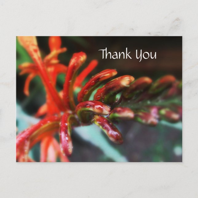 Flower Shower Postcard (Front)