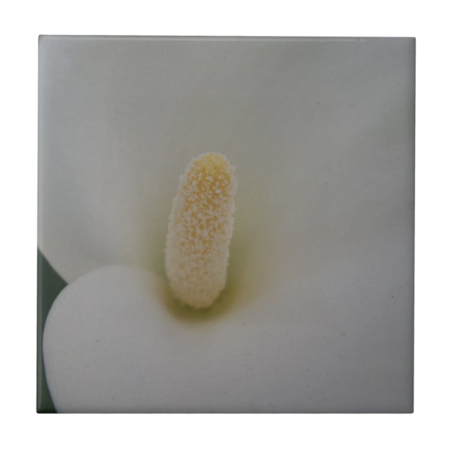 Flower Small (4.25" x 4.25") Ceramic Photo Tile (Front)