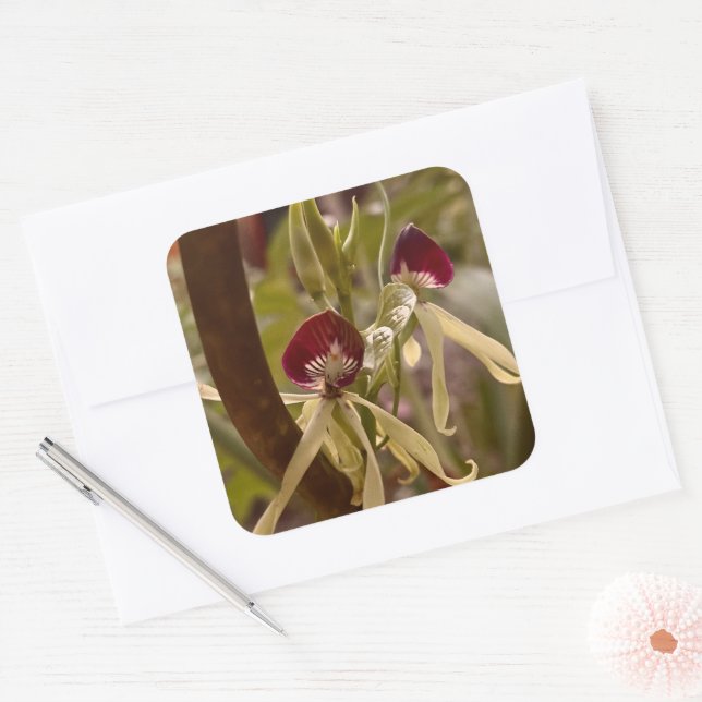 Flower Sticker (Envelope)