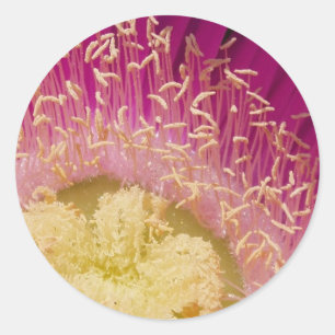 Flower Sticker