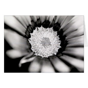 Flower Study