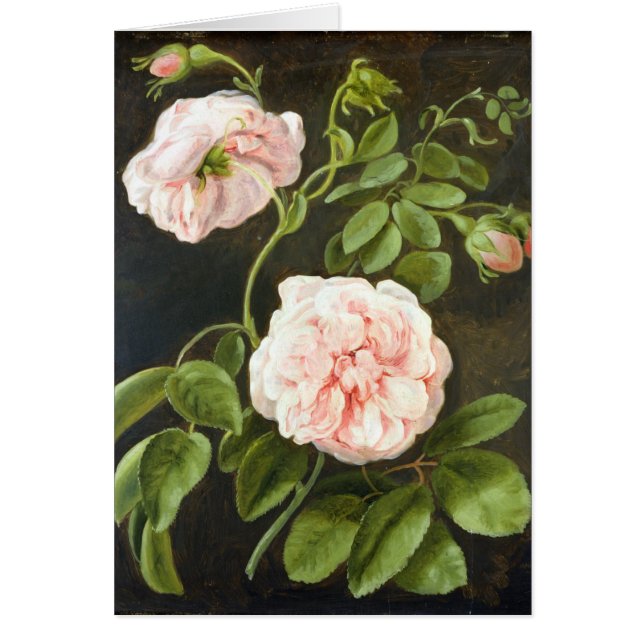 Flower Study (Front)