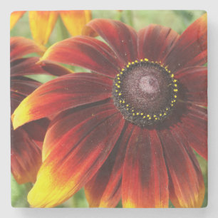 Flower Summer photo  Marble Stone Coaster