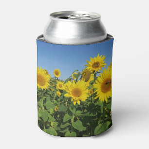 flower, sun, plant, nature, summer, floral, can cooler