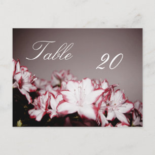 Flower Table Number Postcard