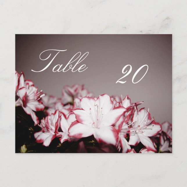 Flower Table Number Postcard (Front)