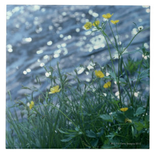 Flower Tile
