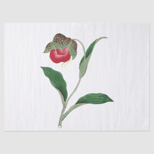 Flower Tissue Paper (Front)