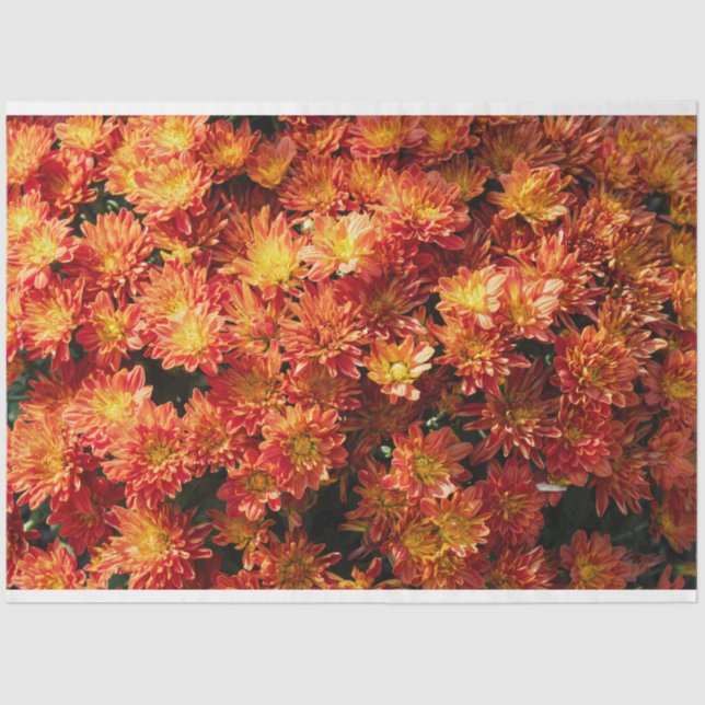 Flower Tissue Paper (Front)