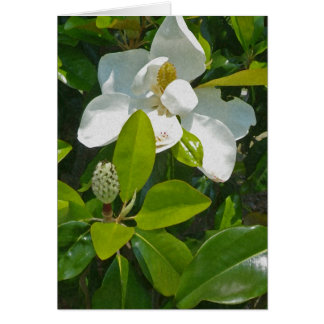Flower to Fruit