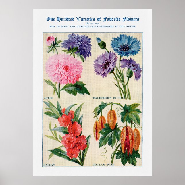 Flower Watercolor Poster (Front)