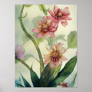 Flower Watercolour Spring Flowers  Poster