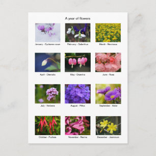 Flower Year Postcard