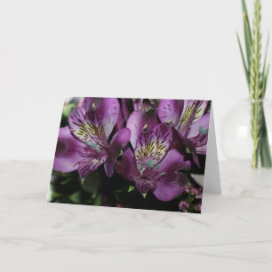FLOWERED NOTE CARDS