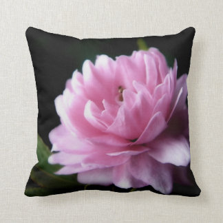 Flowering Almond Pillow