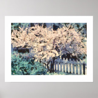Flowering Almond Tree Picket Fence Poster