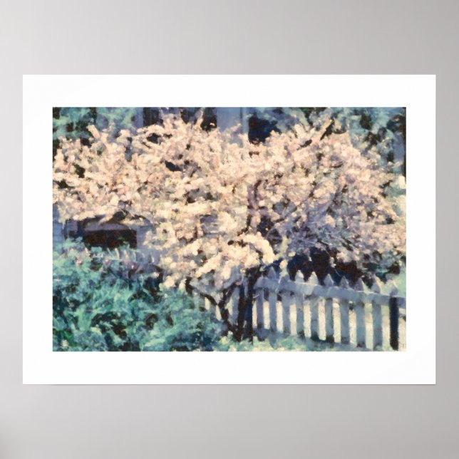 Flowering Almond Tree Picket Fence Poster (Front)