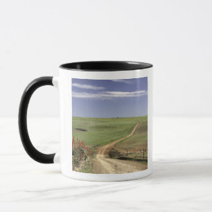 Flowering aloes near Caledon, Western Cape Mug