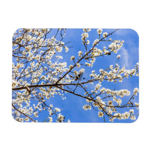 flowering branch magnet