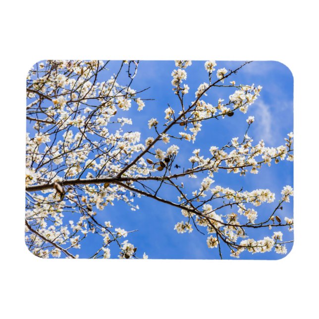 flowering branch magnet (Horizontal)