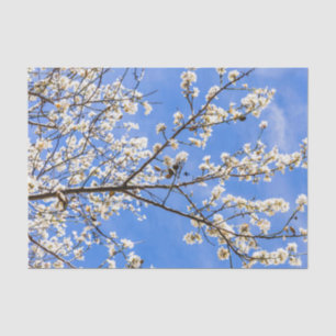 flowering branch tissue paper