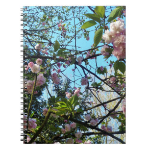 Flowering Cherry, Blossom, Nature, Pink Flower Spiral Notebook