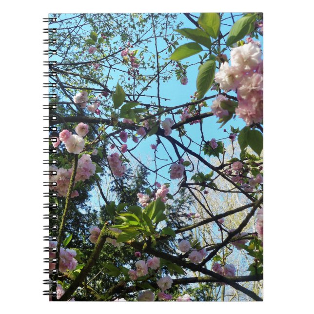 Flowering Cherry, Blossom, Nature, Pink Flower Spiral Notebook (Front)