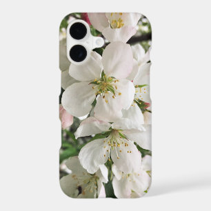 Flowering Crabapple