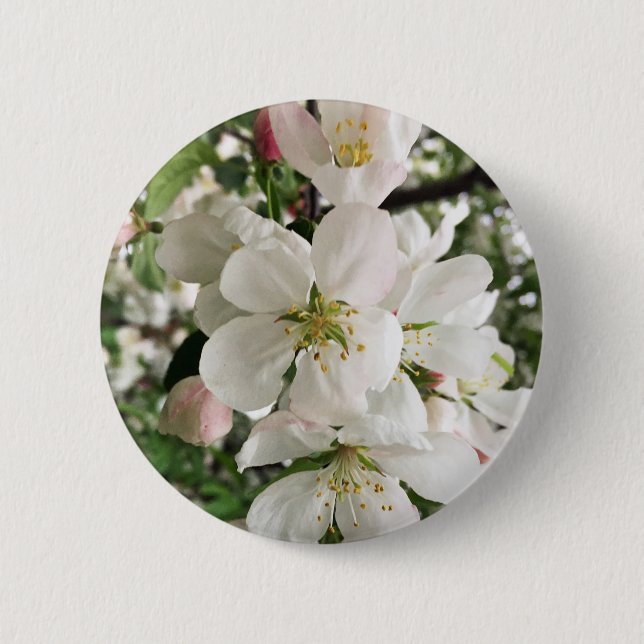 Flowering Crabapple 6 Cm Round Badge (Front)