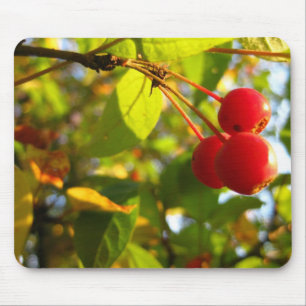 Flowering Crabapple Fall Mousepad