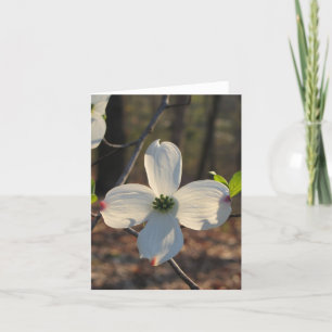 Flowering Dogwood Card