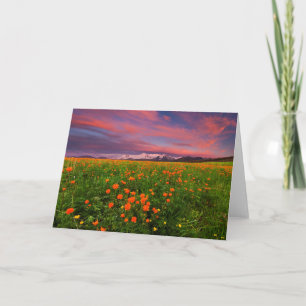 Flowering Globe Flower Card