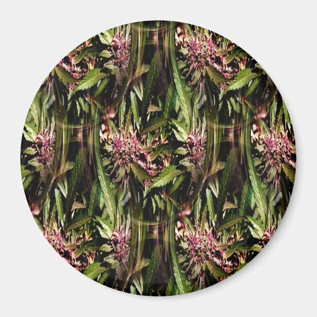 Flowering Grape Ape..... Magnet (Front)