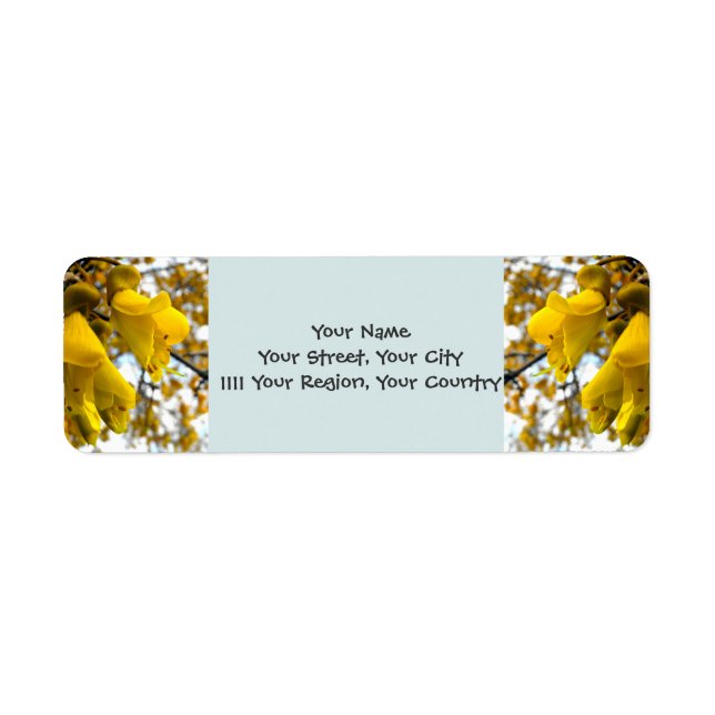 Flowering Kowhai Tree (Front)