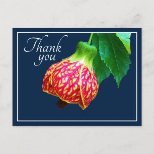 Flowering Maple Flower Blue Background Thank You Postcard