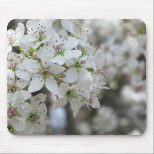 Flowering Pear Tree Bloom Mouse Pad