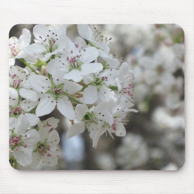 Flowering Pear Tree Bloom Mouse Pad (Front)