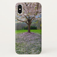Flowering Pink Cherry Blossom Tree with Woods