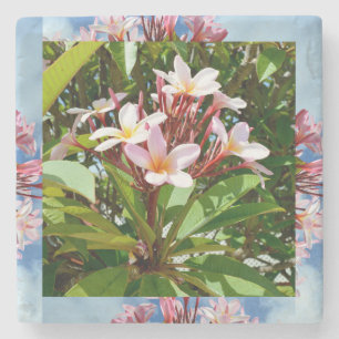 Flowering Pink Frangipani Tree, Stone Coaster
