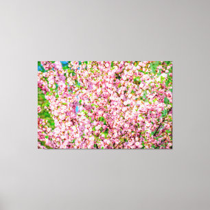 Flowering Plum Canvas Print