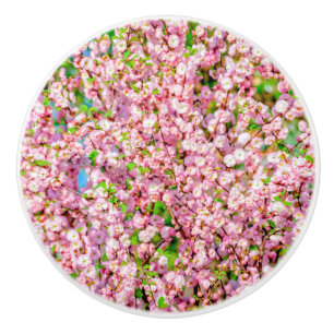 Flowering Plum Ceramic Knob