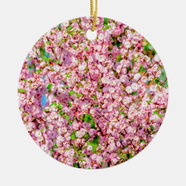 Flowering Plum Ceramic Tree Decoration (Front)