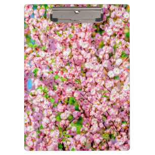 Flowering Plum Clipboard