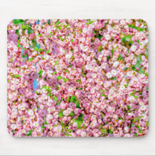 Flowering Plum Mouse Pad