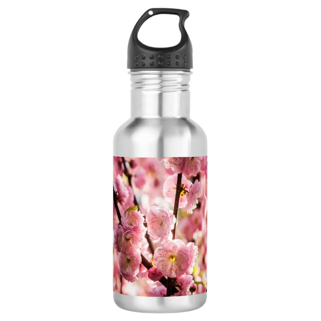 Flowering Plum - Pink Paradize 532 Ml Water Bottle (Front)