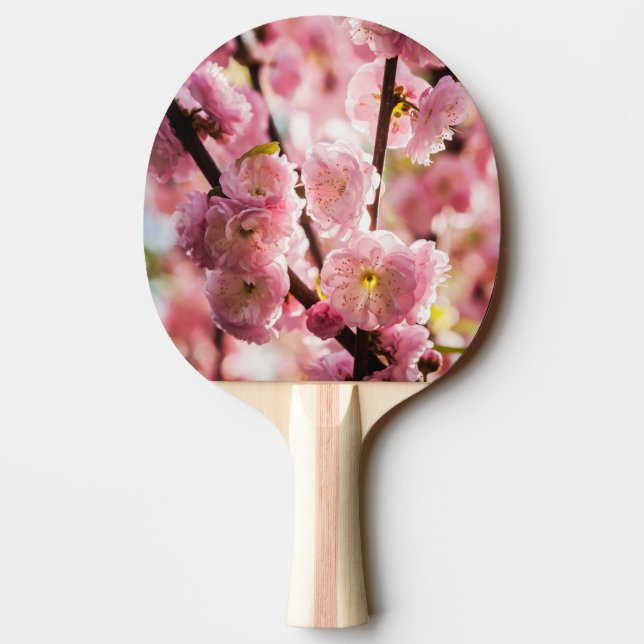 Flowering Plum - Pink Paradize Ping Pong Paddle (Back)