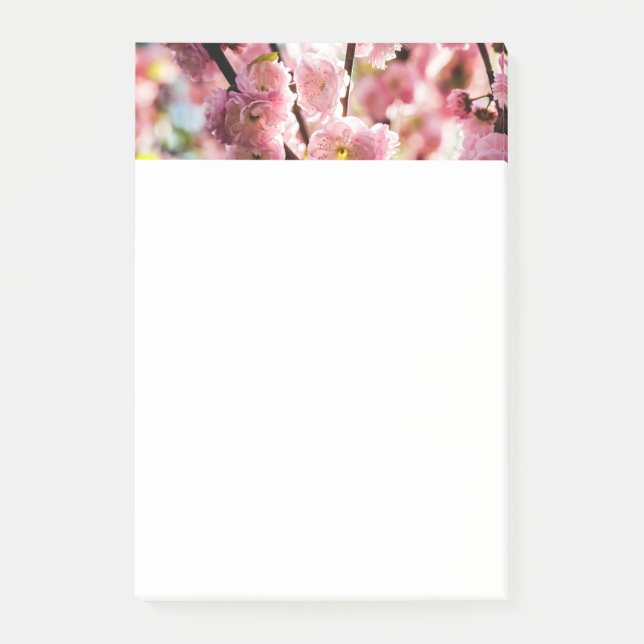 Flowering Plum - Pink Paradize Post-it Notes (Front)