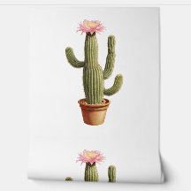 Flowering Potted Cactus Desert Plant