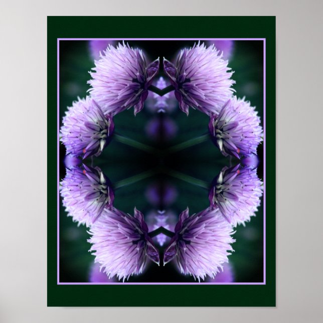 Flowering Purple Scallion Allium Abstract  Poster (Front)