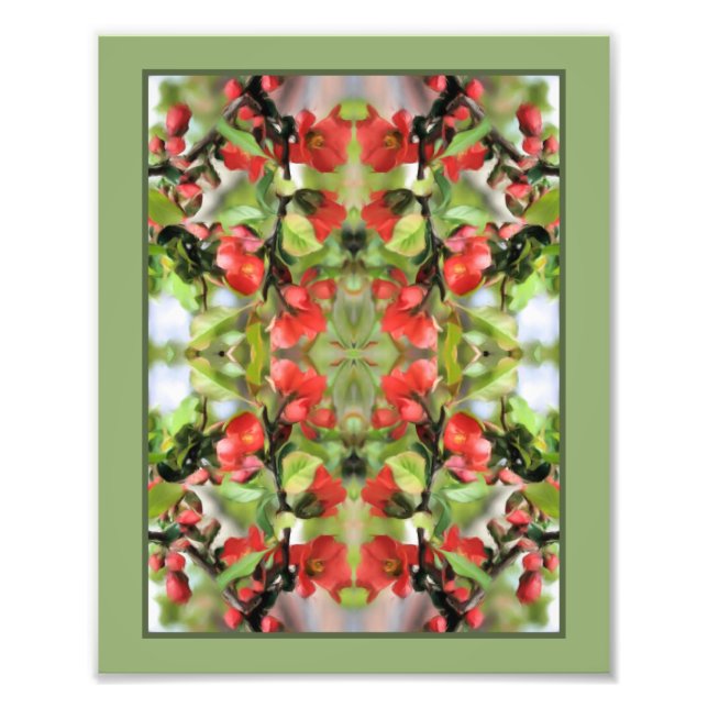 Flowering Quince Red Blossoms Mirror Abstract 8x10 Photo Print (Front)